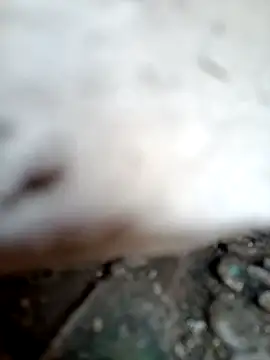 miss riya kol online show from October 9, 6:44 am