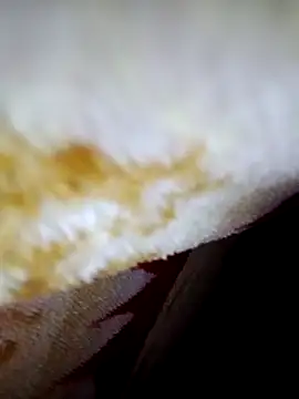 Snapshot of alone_boy802 chatting on October 6, 4:15 pm alone boy802 online show from October 6, 4:15 pm