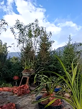 helenzz online show from December 22, 1:57 am