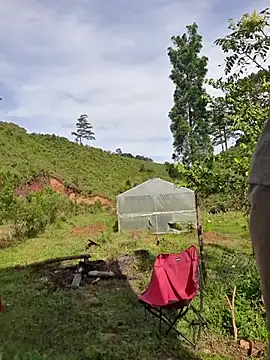 Snapshot of Helen-Tran chatting on October 24, 1:35 am Helen-Tran online show from October 24, 1:35 am