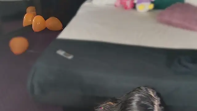 Snapshot of MeganSin_ chatting on November 6, 5:30 am MeganSin online show from November 6, 5:30 am