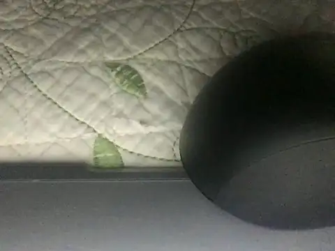 paula19800 online show from October 3, 10:34 am