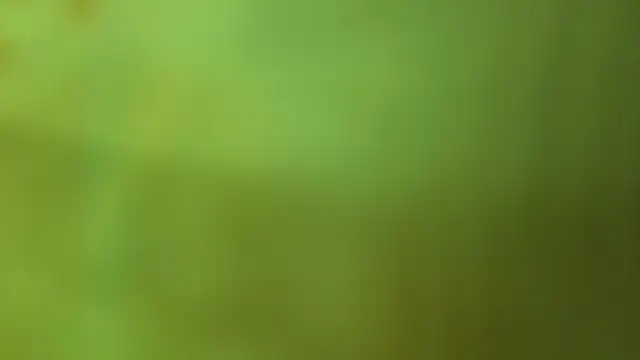 Snapshot of katiaa_lovv chatting on June 17, 12:29 pm katiaa lovv online show from June 17, 12:29 pm