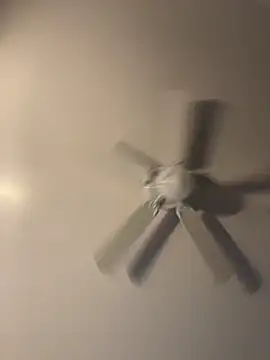 pmonie online show from November 16, 12:05 am