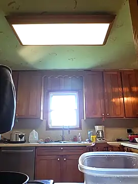 bear8t online show from April 20, 5:26 pm