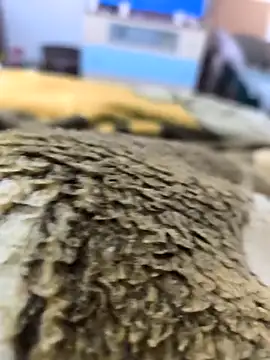 Snapshot of sebas_sexo_goloso chatting on November 14, 8:13 am sebas sexo goloso online show from November 14, 8:13 am