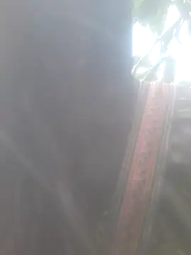 Snapshot of bree-zz chatting on November 10, 1:48 am bree-zz online show from November 10, 1:48 am