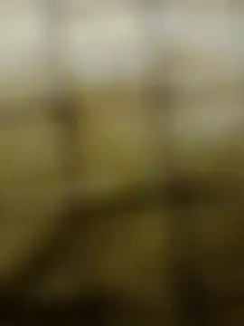 Snapshot of Rs_sonam chatting on December 3, 10:57 am Rs sonam online show from December 3, 10:57 am