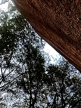 Snapshot of Rs_sonam chatting on December 15, 9:57 am Rs sonam online show from December 15, 9:57 am