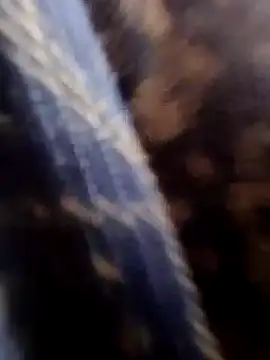 Rs sonam online show from January 18, 4:05 am