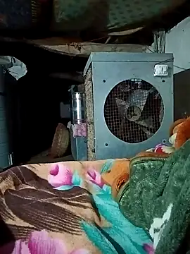 Snapshot of Lona2525 chatting on February 16, 8:38 pm Lona2525 online show from February 16, 8:38 pm