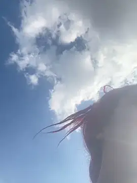 Snapshot of taylor_hot85 chatting on March 7, 9:12 pm taylor hot85 online show from March 7, 9:12 pm