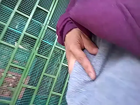 Angel 3-0 online show from November 2, 1:24 pm