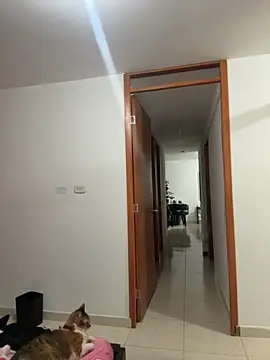 violeticafox online show from December 21, 3:46 am