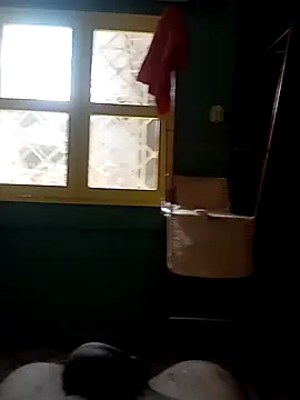 Snapshot of Roberto27052 chatting on October 29, 3:47 pm Roberto27052 online show from October 29, 3:47 pm