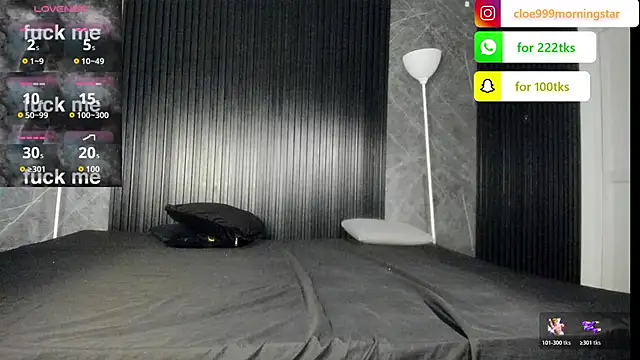 Snapshot of cloemorningstar chatting on November 10, 2:38 pm cloemorningstar online show from November 10, 2:38 pm