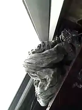 amanWildstalion online show from November 8, 7:19 am