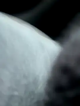 Snapshot of pleasedontpressaredburton chatting on October 14, 2:29 pm pleasedontpressaredburton online show from October 14, 2:29 pm