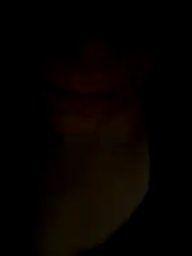 Snapshot of pleasedontpressaredburton chatting on November 14, 1:04 am pleasedontpressaredburton online show from November 14, 1:04 am