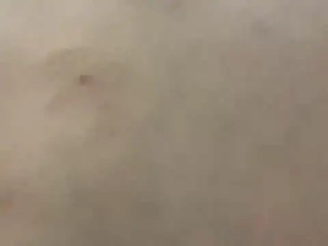 Snapshot of pleasedontpressaredburton chatting on February 28, 3:29 am pleasedontpressaredburton online show from February 28, 3:29 am