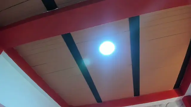 Stefany Andruw online show from November 4, 1:10 pm