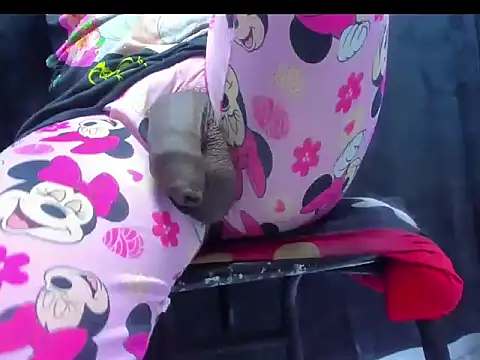 dirtybig cock22 online show from November 22, 2:27 pm