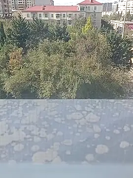 Snapshot of Nara2 chatting on October 6, 9:07 am Nara2 online show from October 6, 9:07 am