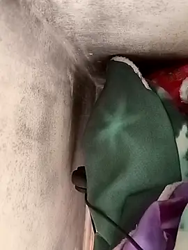 Snapshot of Nara2 chatting on October 7, 11:29 am Nara2 online show from October 7, 11:29 am