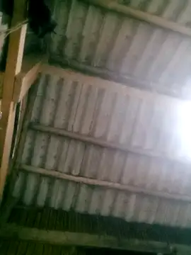 Snapshot of Ducky27021991 chatting on October 18, 12:17 pm Ducky27021991 online show from October 18, 12:17 pm