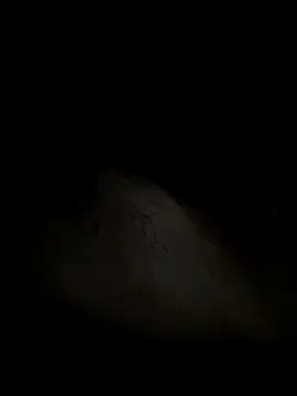 leiteiro2002 online show from October 25, 2:41 am