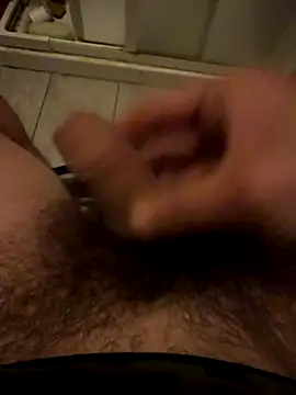 Snapshot of Theanimals chatting on November 5, 11:49 pm Theanimals online show from November 5, 11:49 pm