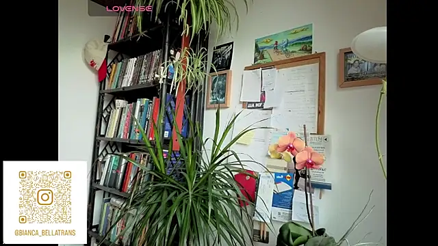 Snapshot of bianca_bellamy chatting on June 9, 7:42 am bianca bellamy online show from June 9, 7:42 am