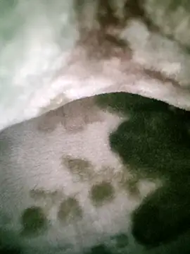 Anchal-8798 online show from January 12, 5:51 pm