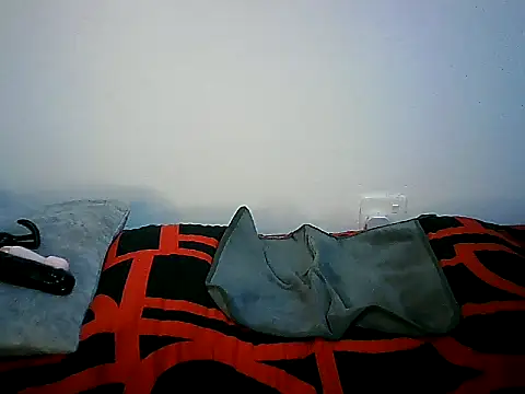 Snapshot of Ntokozo290 chatting on November 11, 7:03 pm Ntokozo290 online show from November 11, 7:03 pm