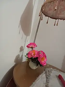 Snapshot of Tanha18 chatting on July 1, 1:34 pm Tanha18 online show from July 1, 1:34 pm