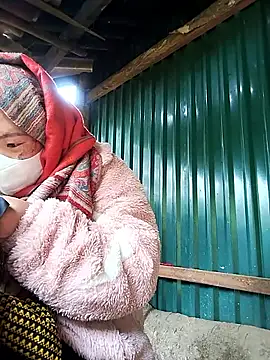 xixibabi online show from December 17, 3:56 am