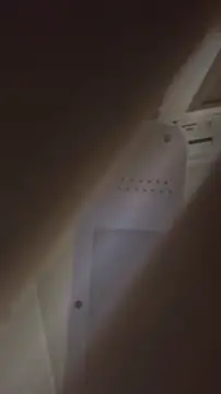 bunnydam online show from November 6, 2:40 pm