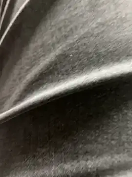 arasazgin online show from March 17, 12:04 am