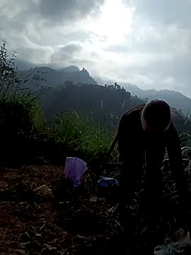 nat-tri online show from December 19, 7:26 am