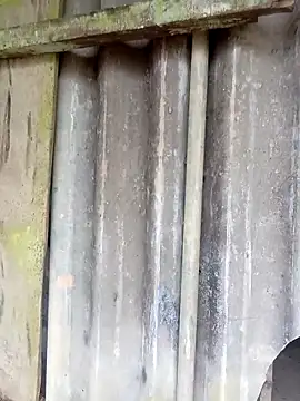 siusiu-00 online show from February 25, 10:14 am