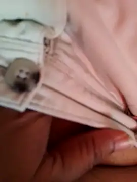 svk 05 online show from December 18, 9:26 am