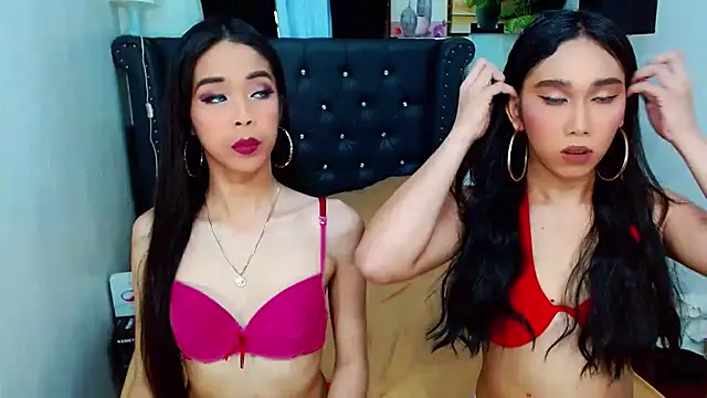 LovelyTs4U online show from November 28, 8:39 am