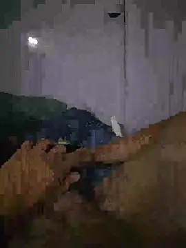 shainnfk online show from March 1, 11:23 am