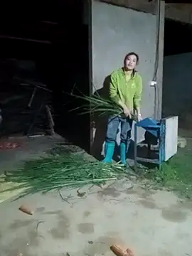 Myzak- online show from November 24, 10:59 am