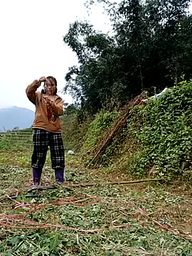 omai-ngot online show from November 17, 2:17 am