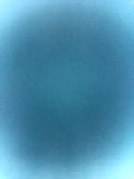 tabby-cat11 online show from February 19, 2:46 pm