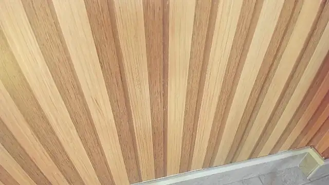 Snapshot of mia__blaze__ chatting on November 11, 3:06 am mia blaze online show from November 11, 3:06 am