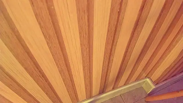 mia  blaze   online show from January 15, 3:00 am