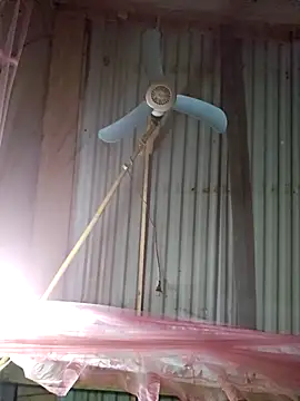 Squirrel-Pear online show from December 4, 12:25 pm