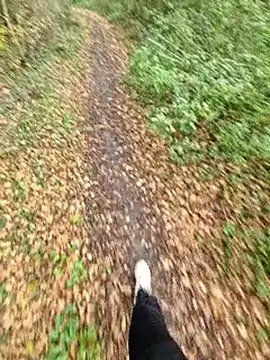 bbyxklaus online show from November 6, 12:28 pm